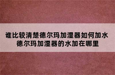 谁比较清楚德尔玛加湿器如何加水 德尔玛加湿器的水加在哪里